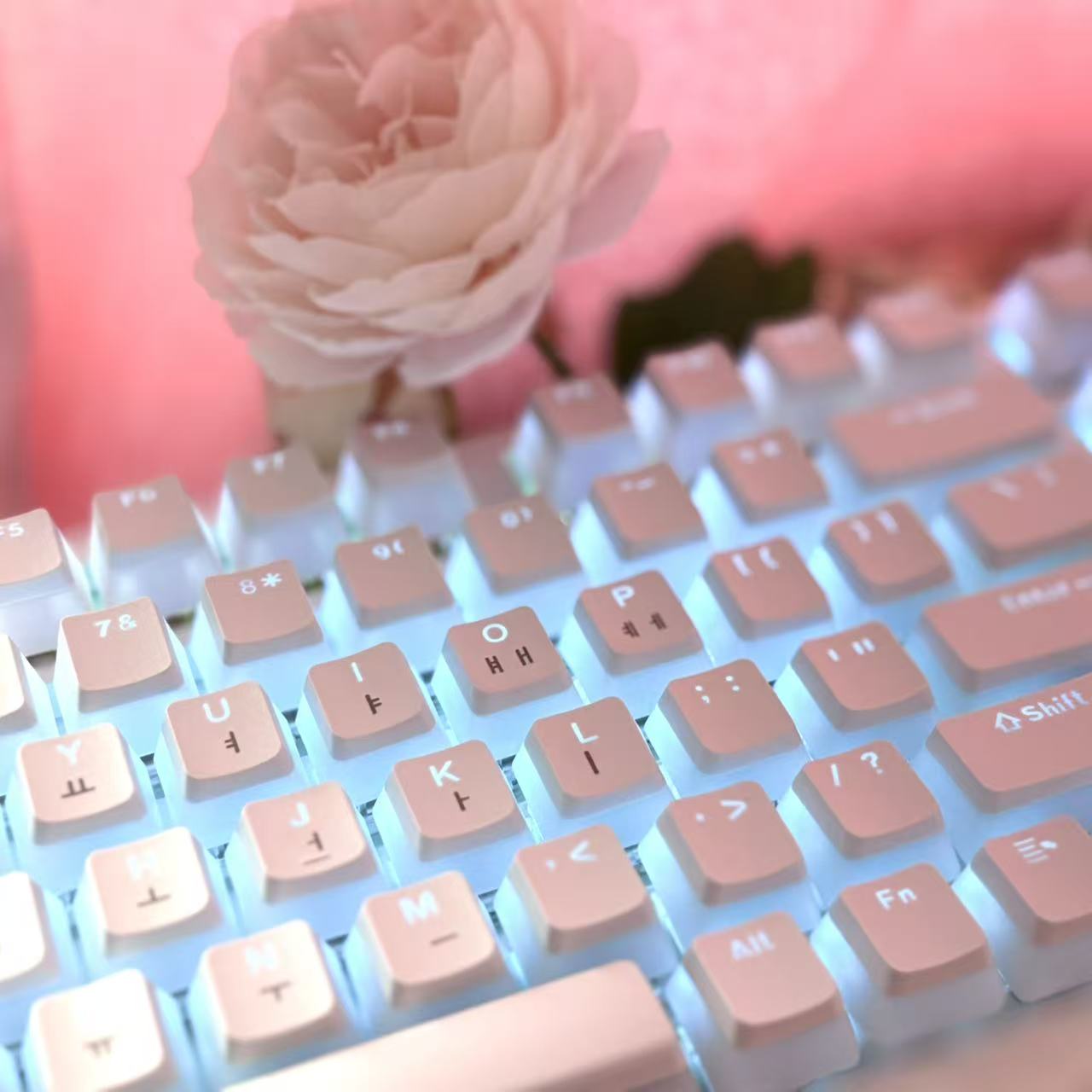 Hangul Keycap Korean Layout Ke - đánh giá và giá Gaming Accessories Aesthetic